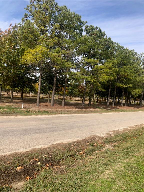 Tbd Jenkins Road Property Photo 2