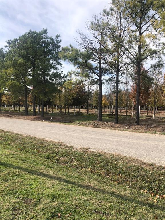 Tbd Jenkins Road Property Photo 3