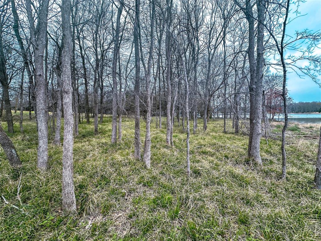 Lot 249 The Shores Drive Property Photo 18