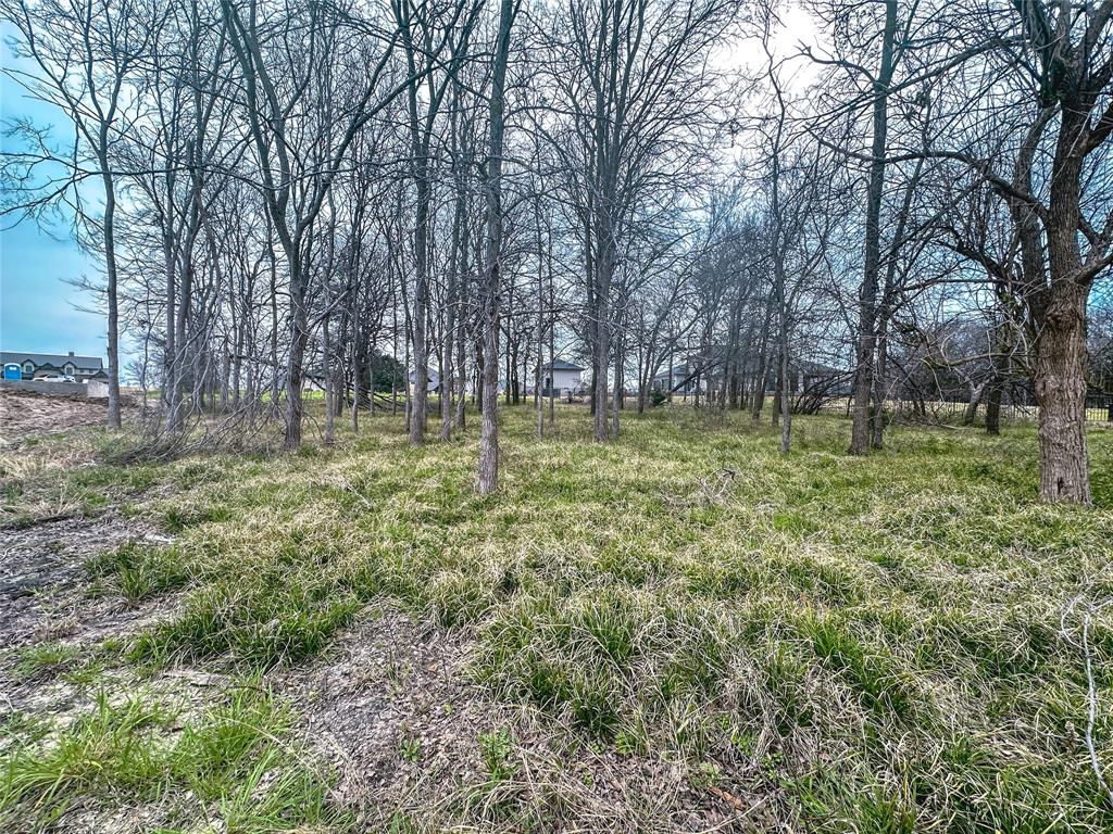 Lot 249 The Shores Drive Property Photo 22