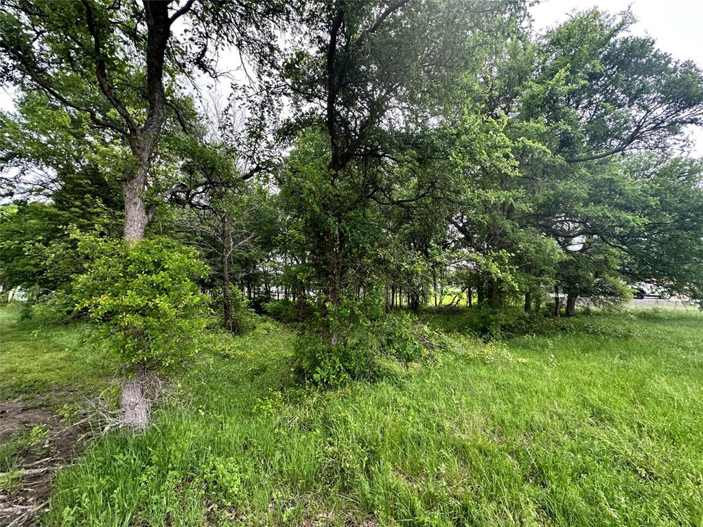 Lot 249 The Shores Drive Property Photo 27