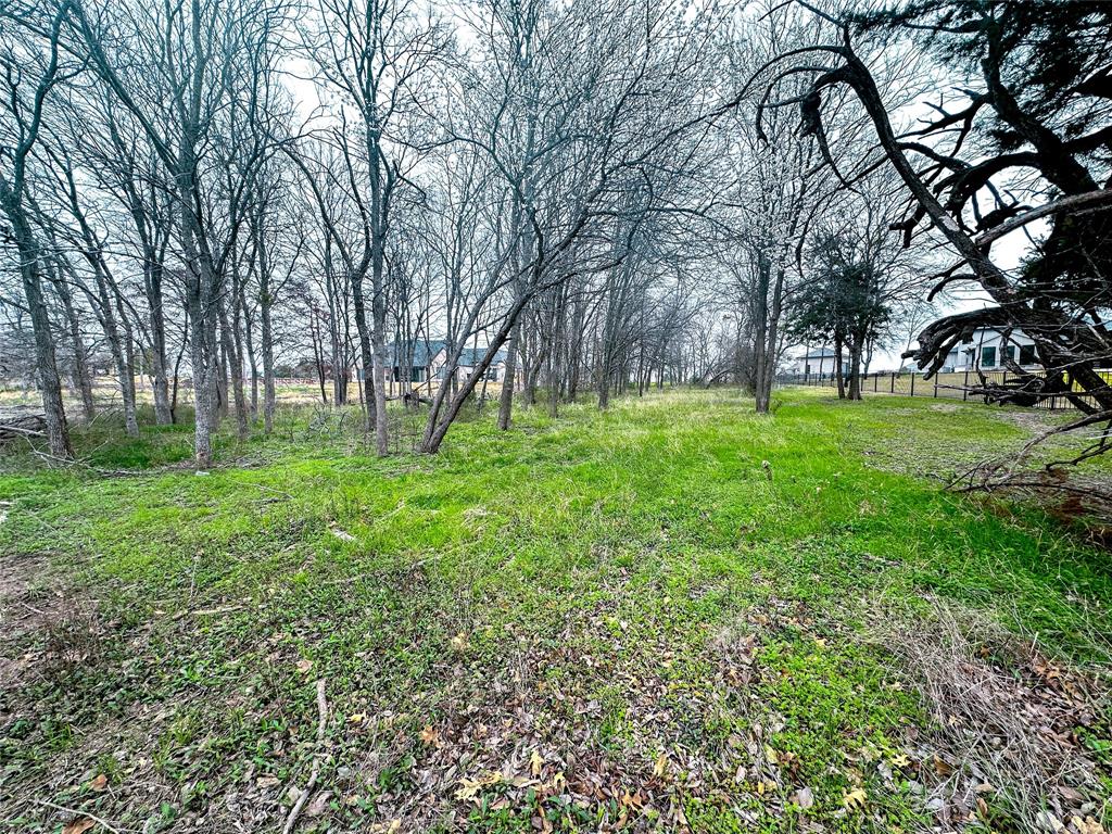 Lot 249 The Shores Drive Property Photo 29