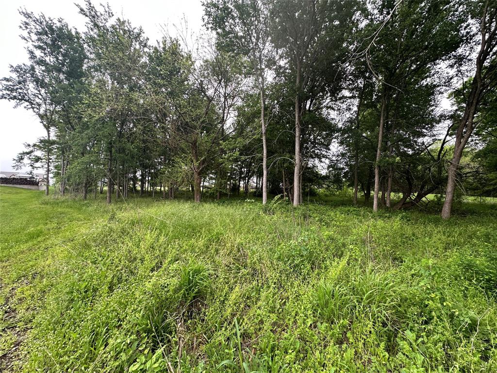 Lot 249 The Shores Drive Property Photo 32