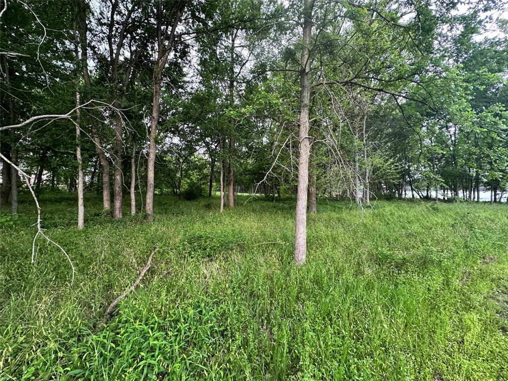Lot 249 The Shores Drive Property Photo 40