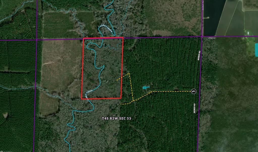 Evangeline Real Estate Listings Main Image
