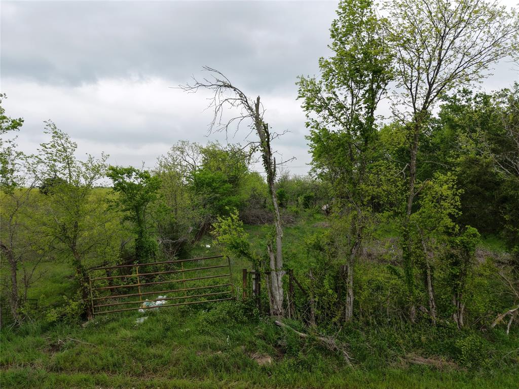 Tbd Sw County Road 2190 Property Photo 2