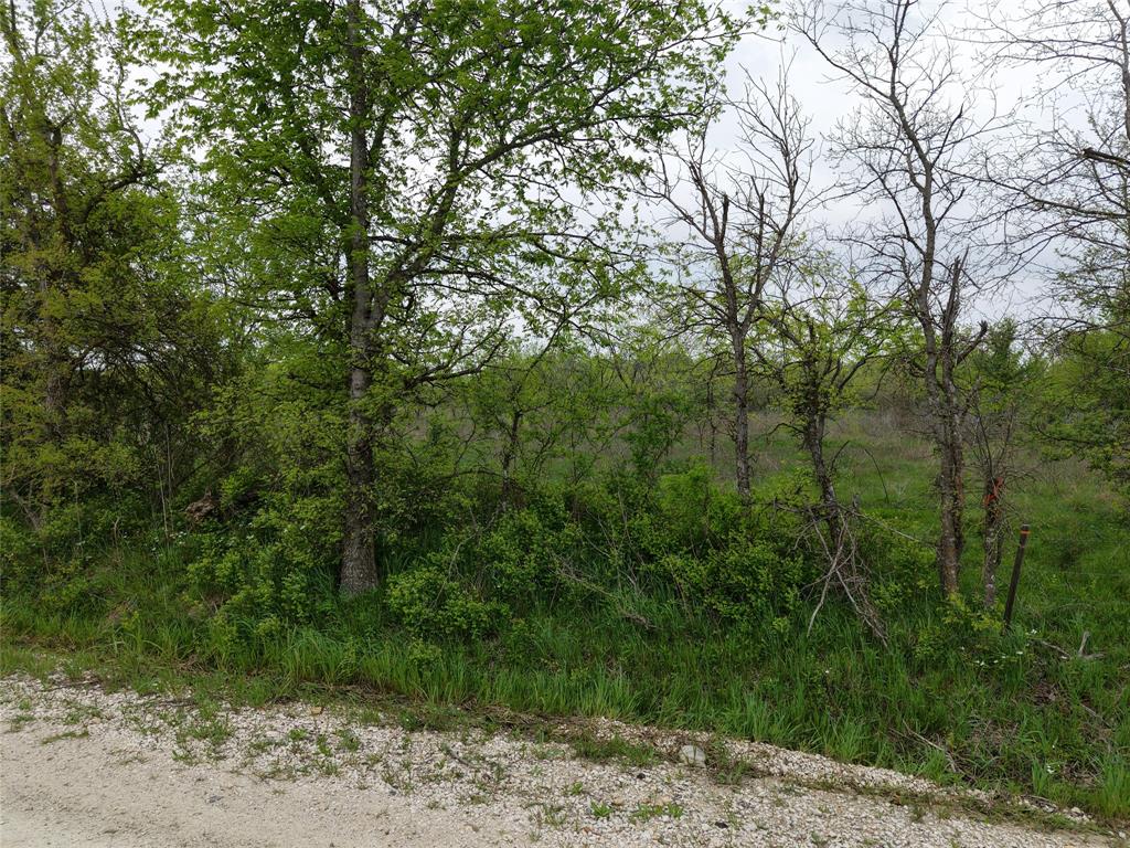 Tbd Sw County Road 2190 Property Photo 3