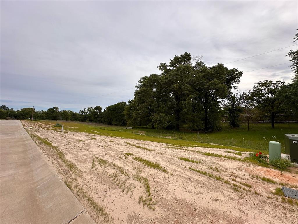 16918 Sawyer Way Property Photo