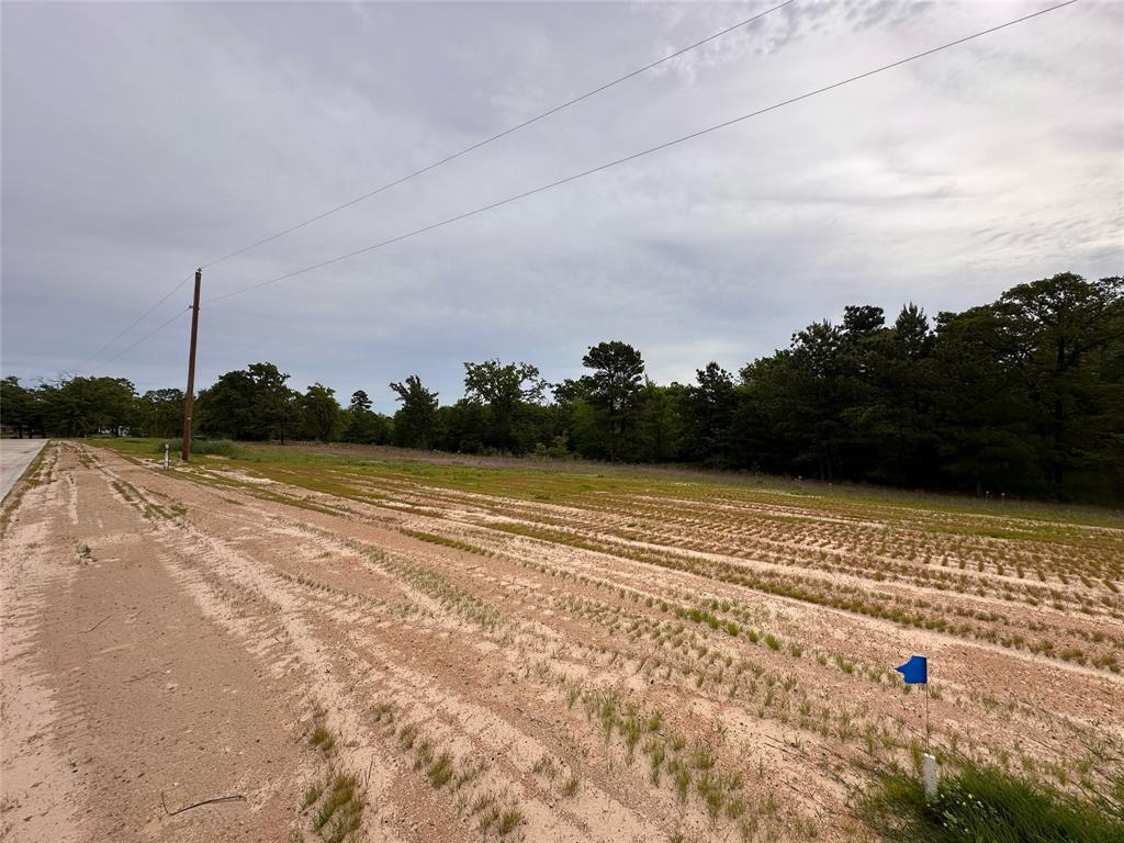 16934 Sawyer Way Property Photo