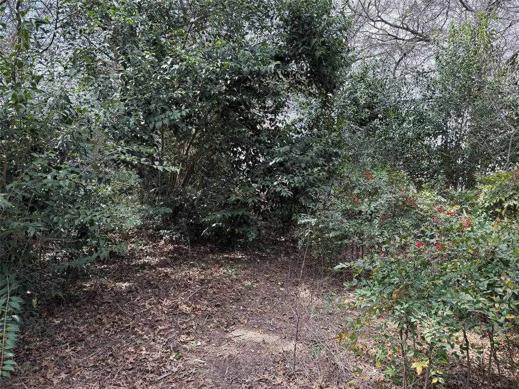 2604 Forest Park Drive Property Photo 4