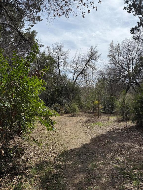 2604 Forest Park Drive Property Photo 7