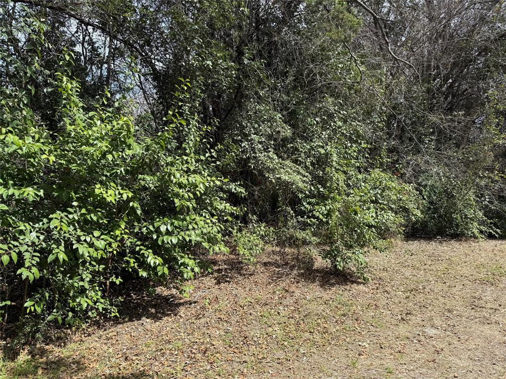 2604 Forest Park Drive Property Photo 8