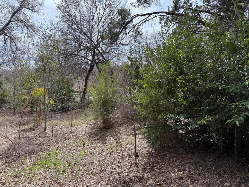 2604 Forest Park Drive Property Photo 9
