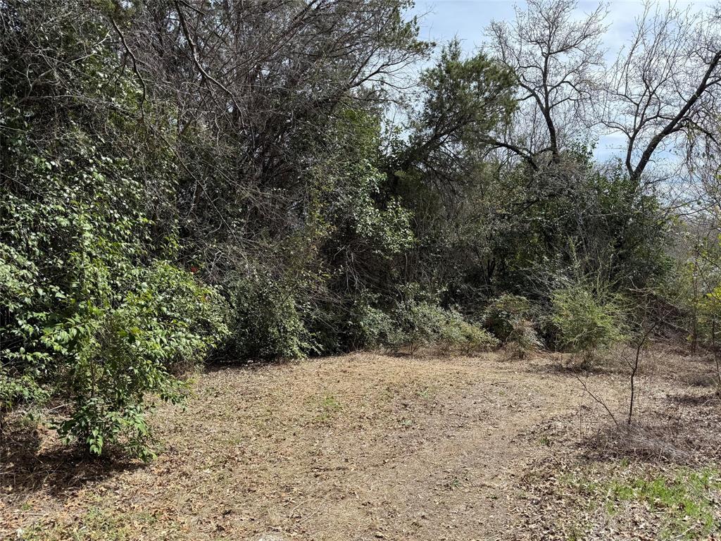 2604 Forest Park Drive Property Photo 10