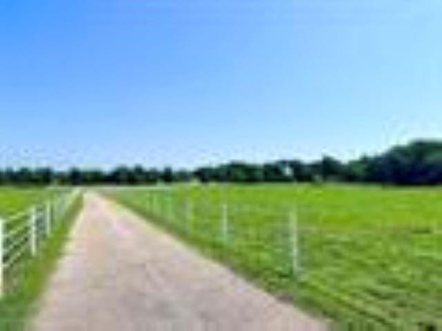 Tbd Texas Highway 49 Property Photo 1