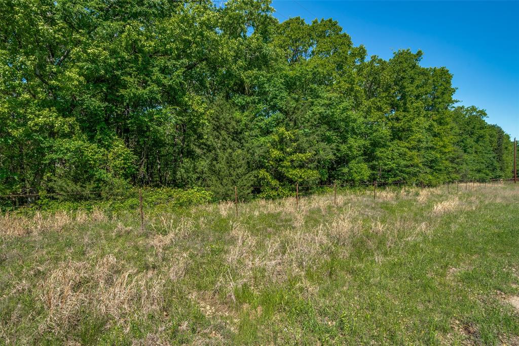 911 Rs County Road 1399 Property Photo 7