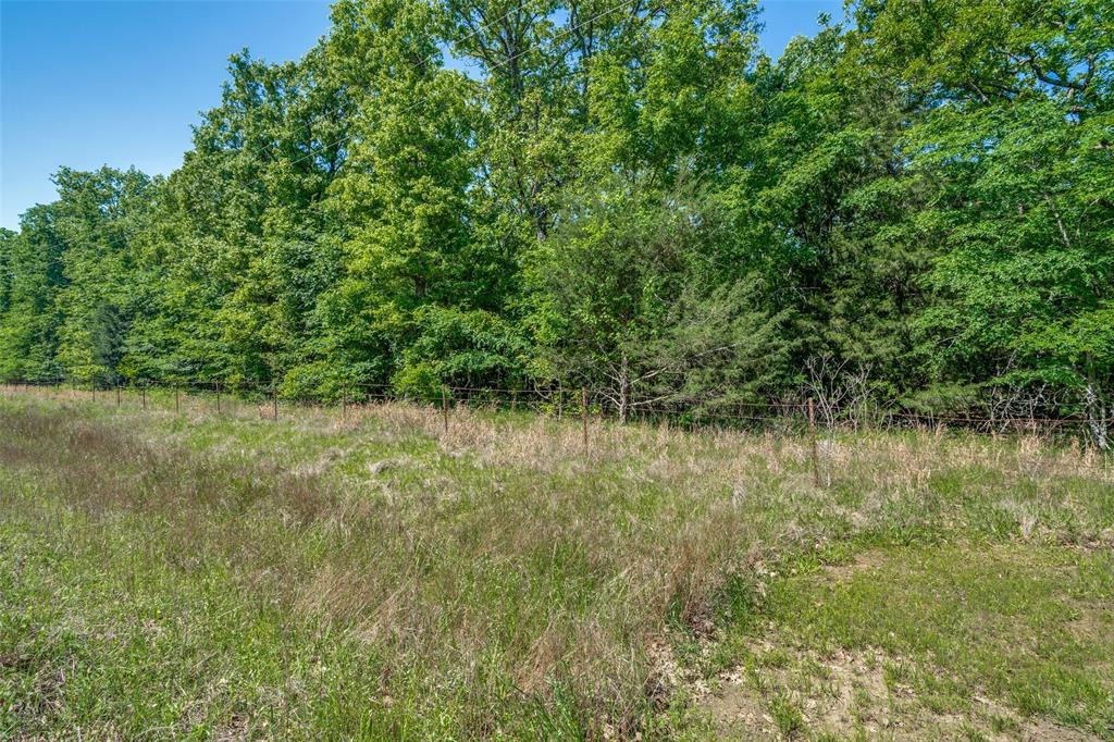 911 Rs County Road 1399 Property Photo 8