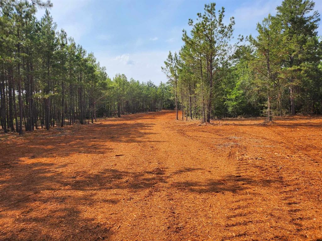 620 County Road 2696 Property Photo 17