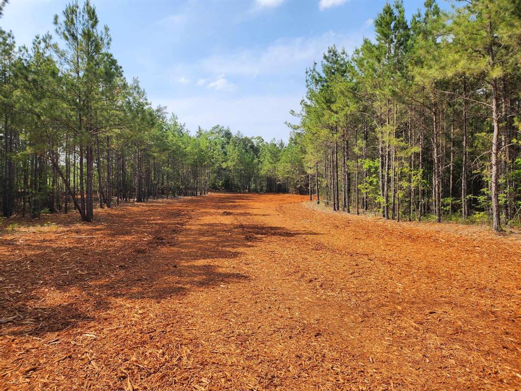 620 County Road 2696 Property Photo 18