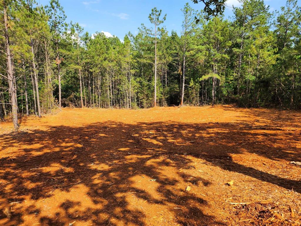 620 County Road 2696 Property Photo 19