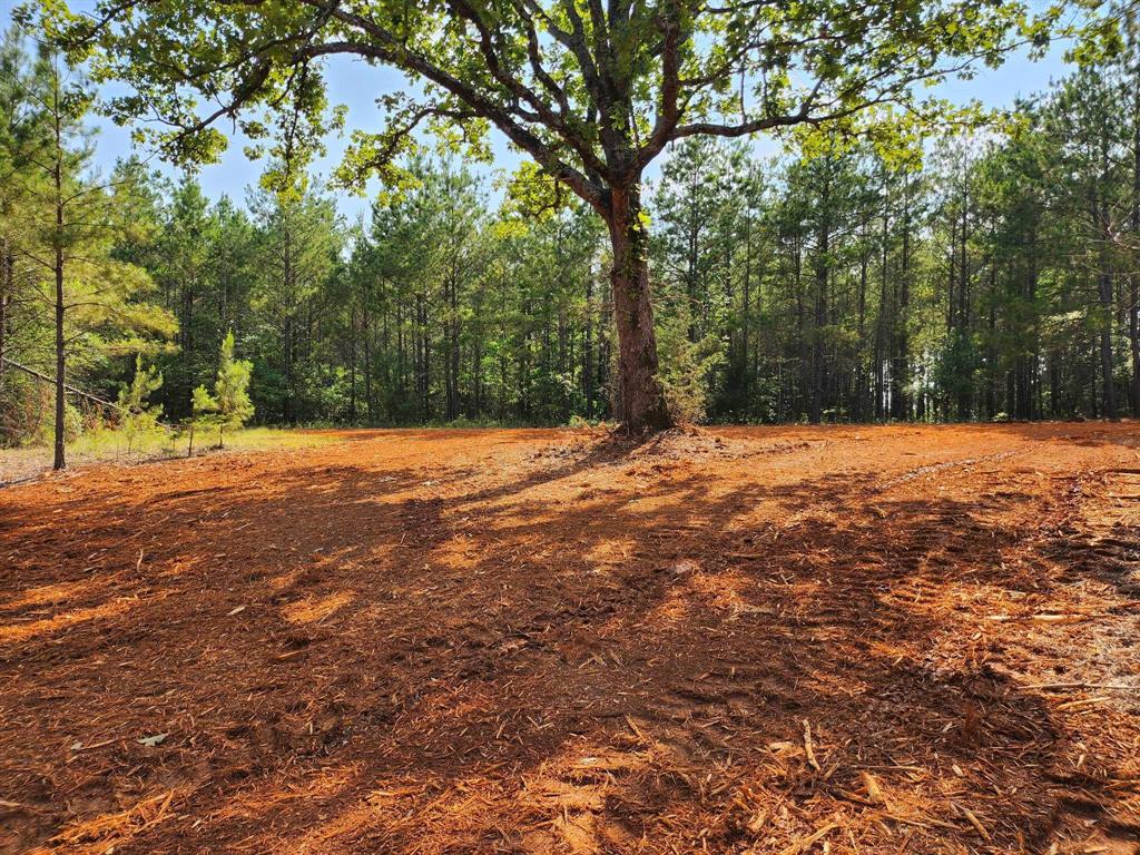 620 County Road 2696 Property Photo 20