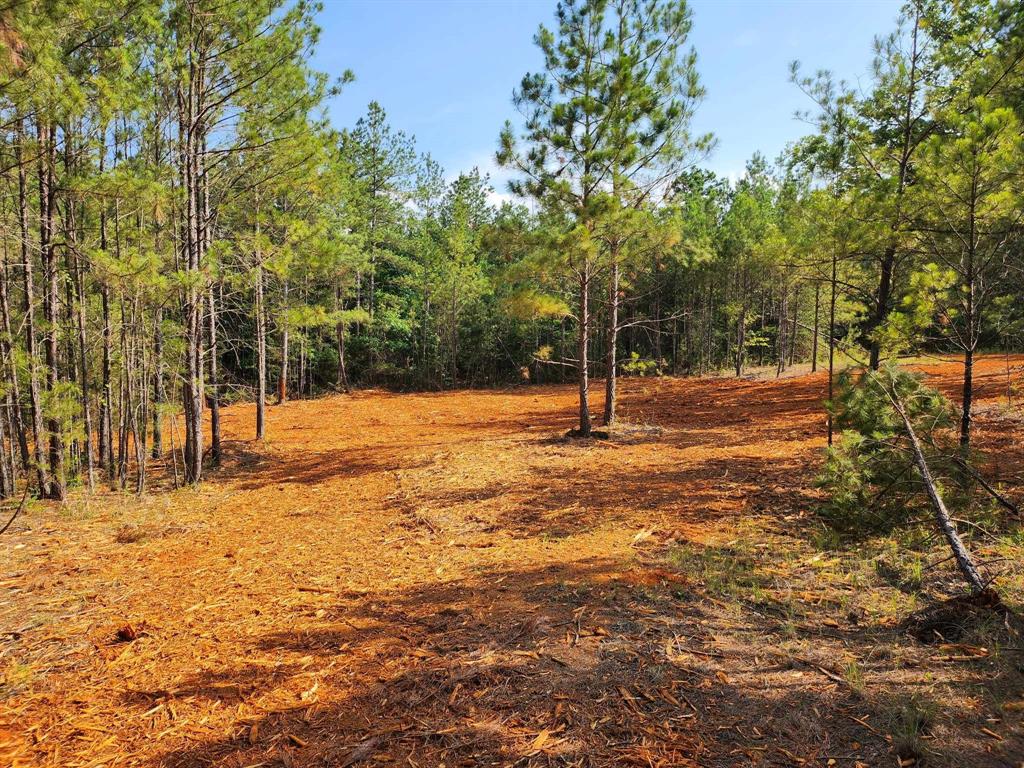 620 County Road 2696 Property Photo 21