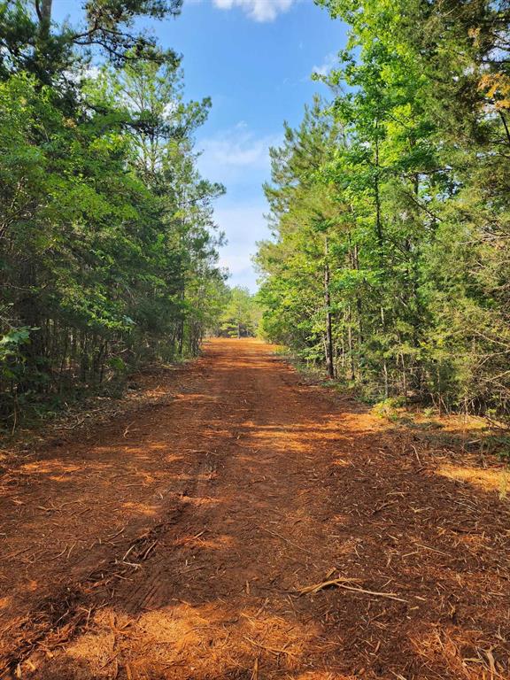 620 County Road 2696 Property Photo 23