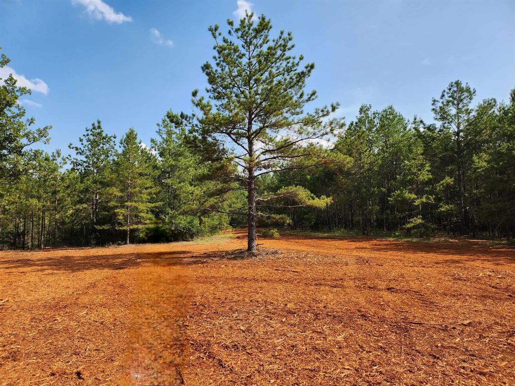 620 County Road 2696 Property Photo 25