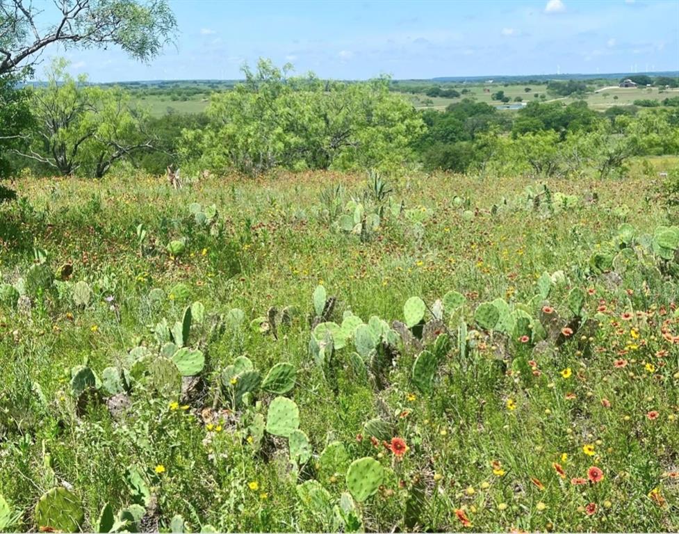 Lot 59 Comanche Lake Road Property Photo