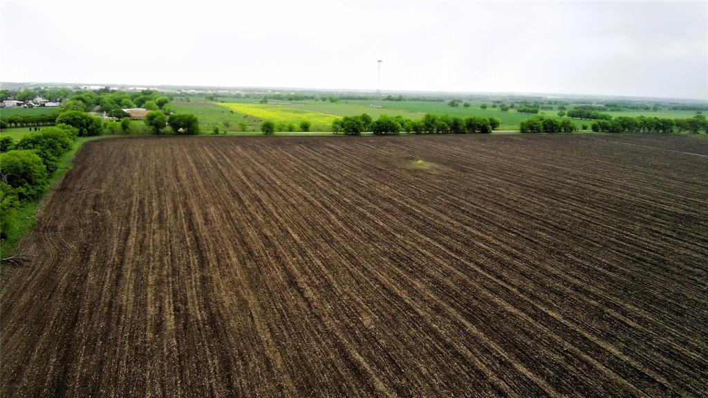 Tbd County Road 437 Property Photo 4