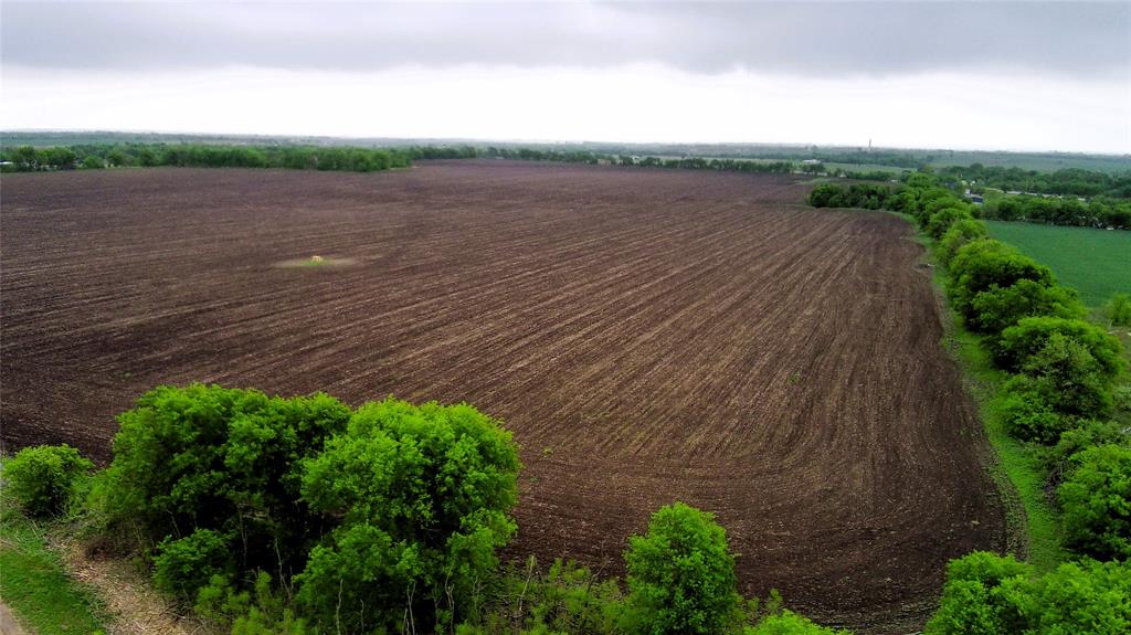 Tbd County Road 437 Property Photo 5