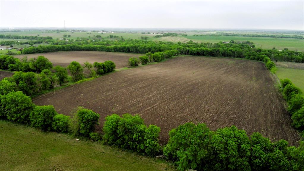 Tbd County Road 437 Property Photo 7