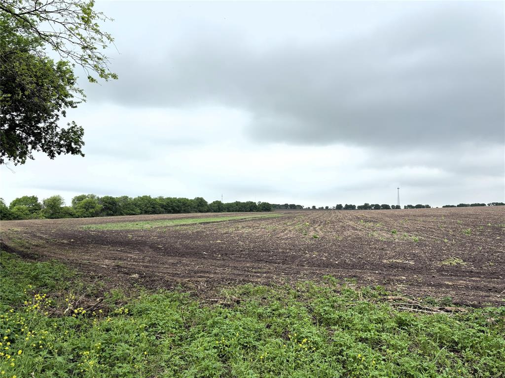 Tbd County Road 437 Property Photo 8