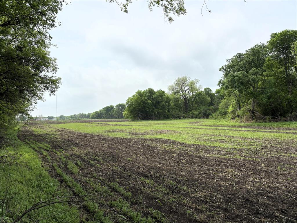Tbd County Road 437 Property Photo 9