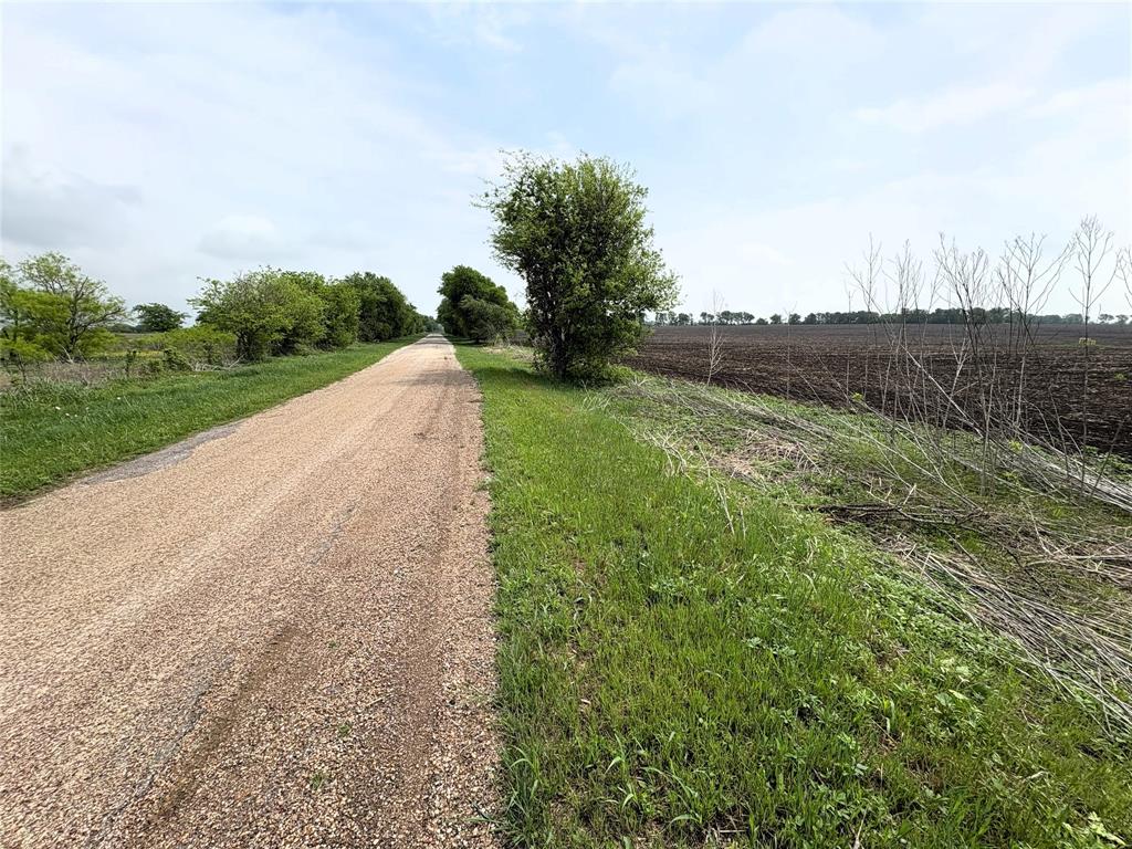 Tbd County Road 437 Property Photo 11