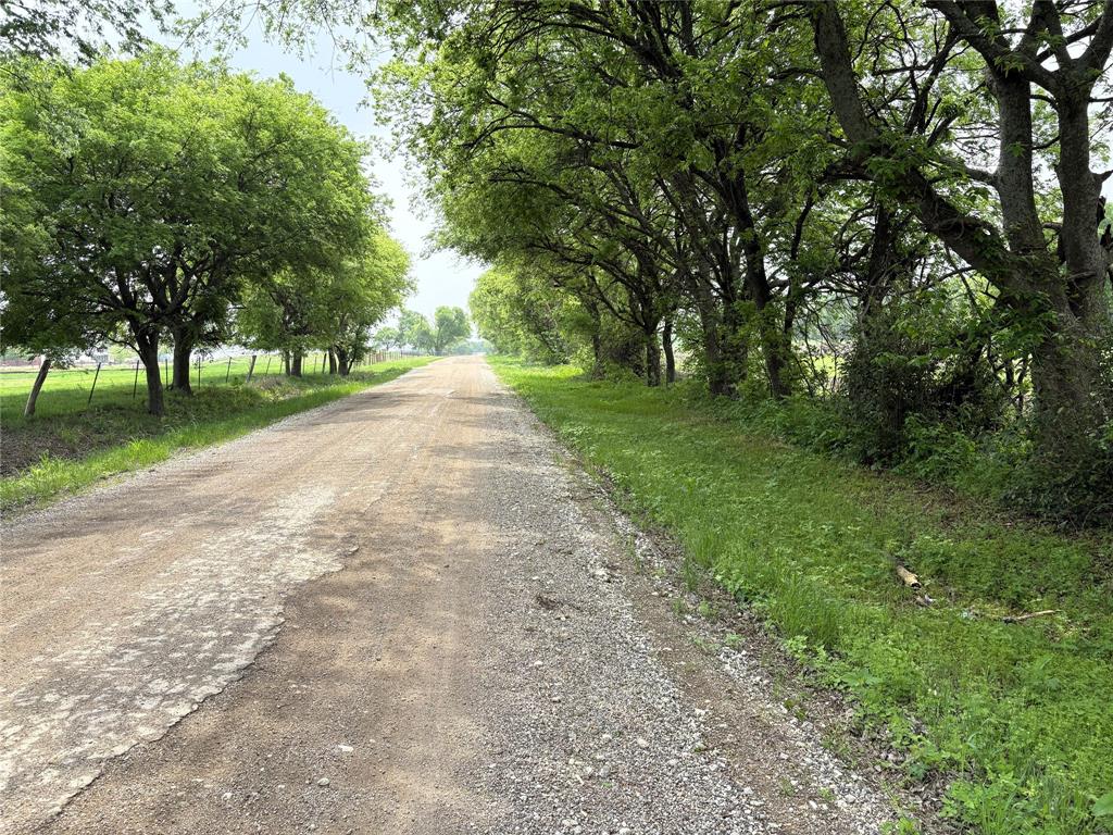 Tbd County Road 437 Property Photo 12