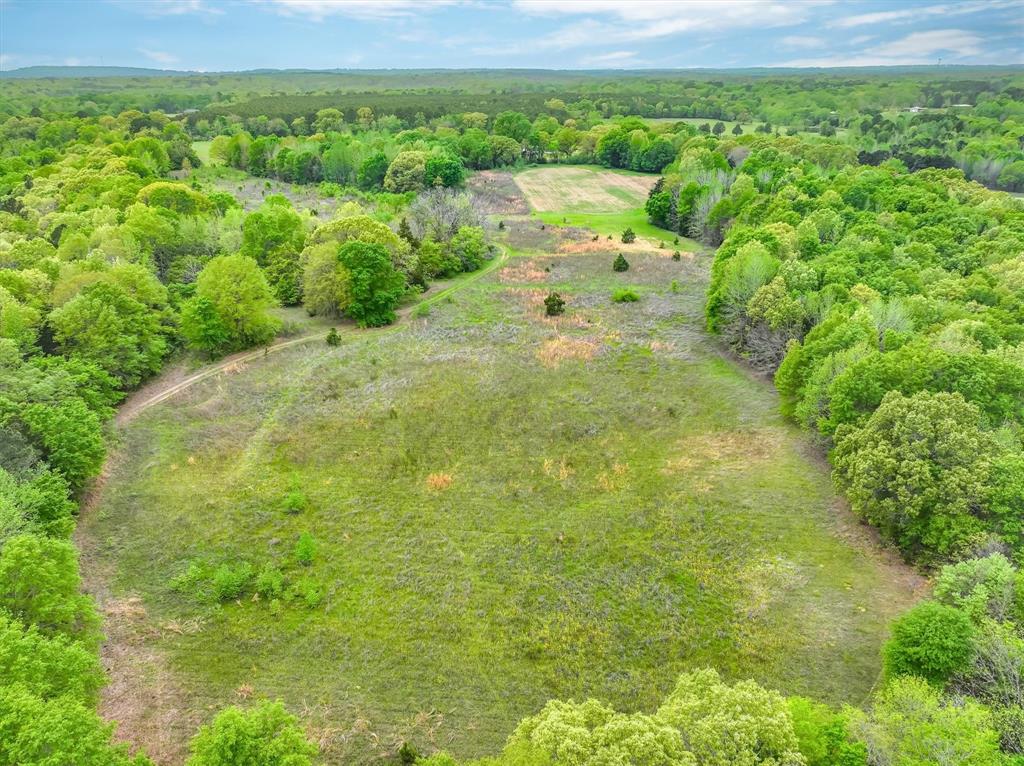 Parcel B Tbd Cr 2140 Property Photo 6