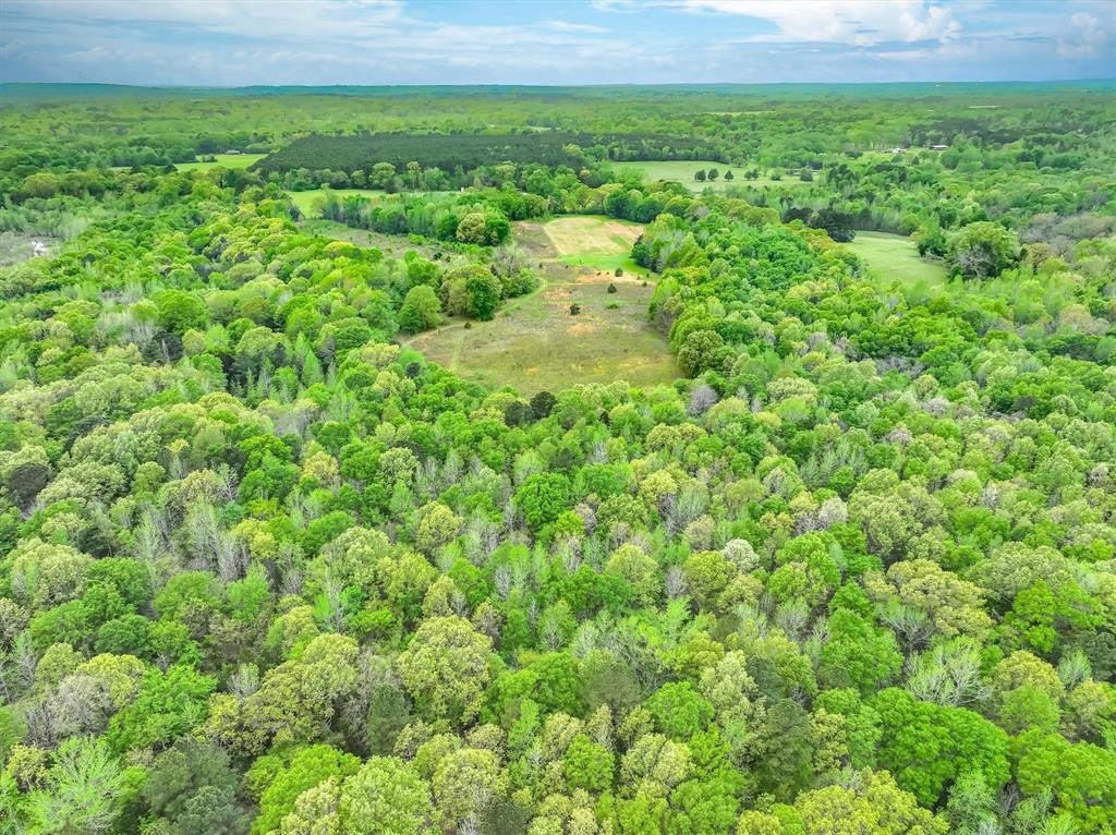 Parcel B Tbd Cr 2140 Property Photo 8