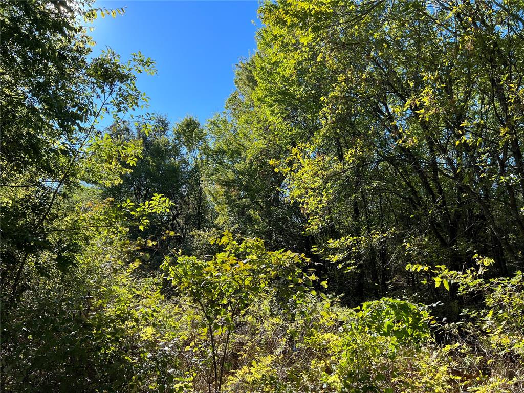 Tbd Cr-4070 Property Photo