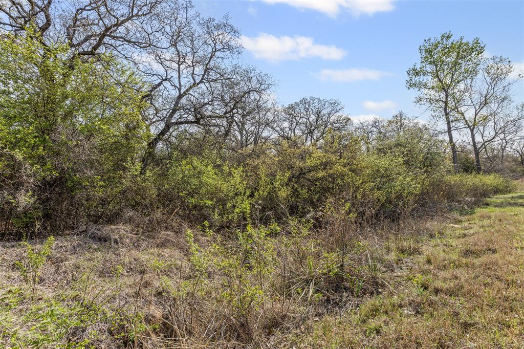 000 County Road 3855 Property Photo 15