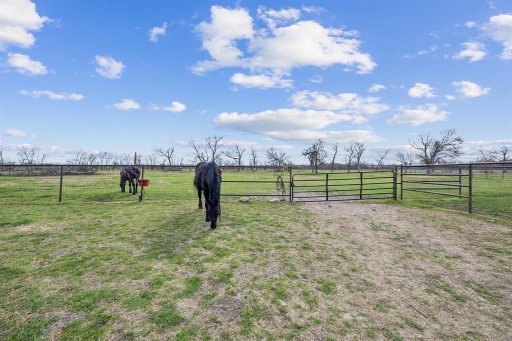 1815 Fm 2933 Property Photo 10