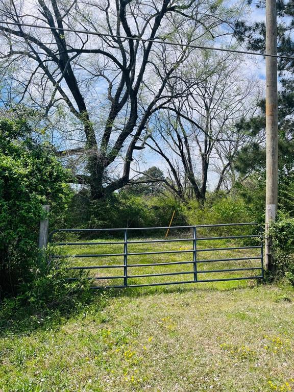 3804 Buchanan Loop Road Property Photo
