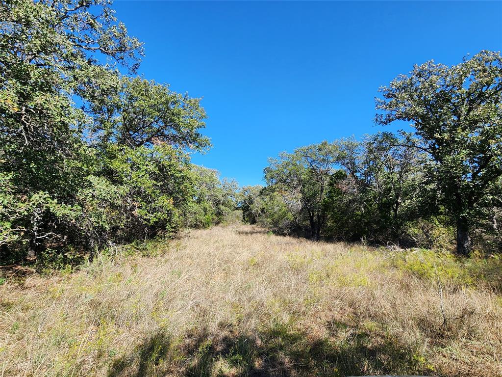 Tbd County Road 132 Property Photo