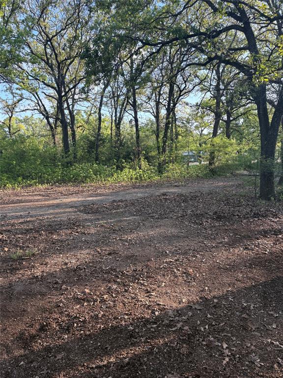 Tbd Hwy 84 Highway Property Photo 5