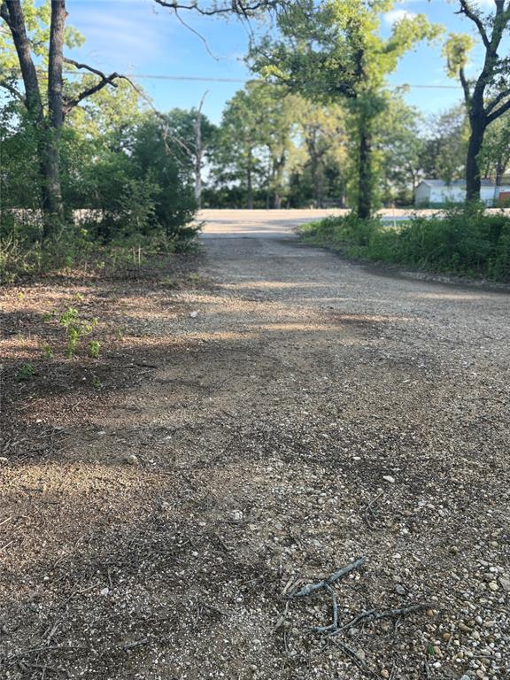 Tbd Hwy 84 Highway Property Photo 12