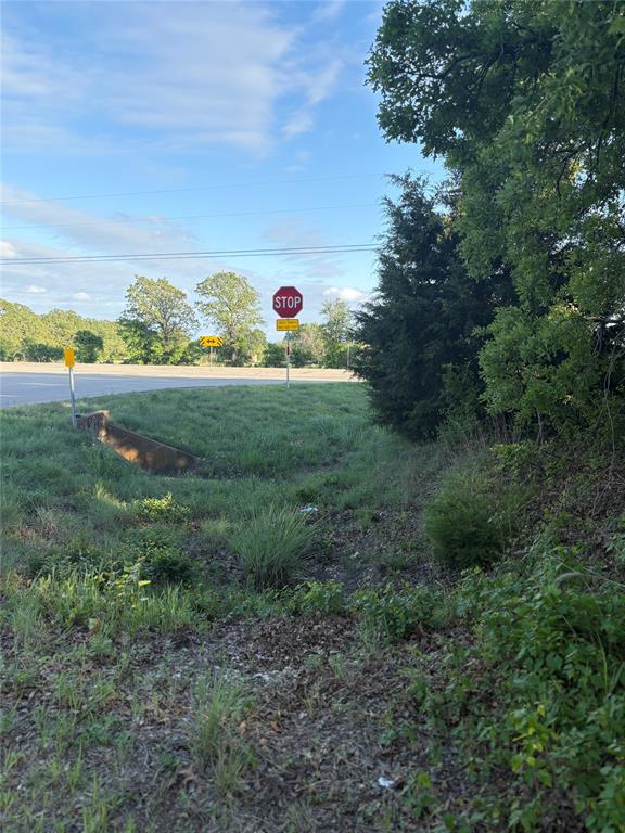 Tbd Hwy 84 Highway Property Photo 15