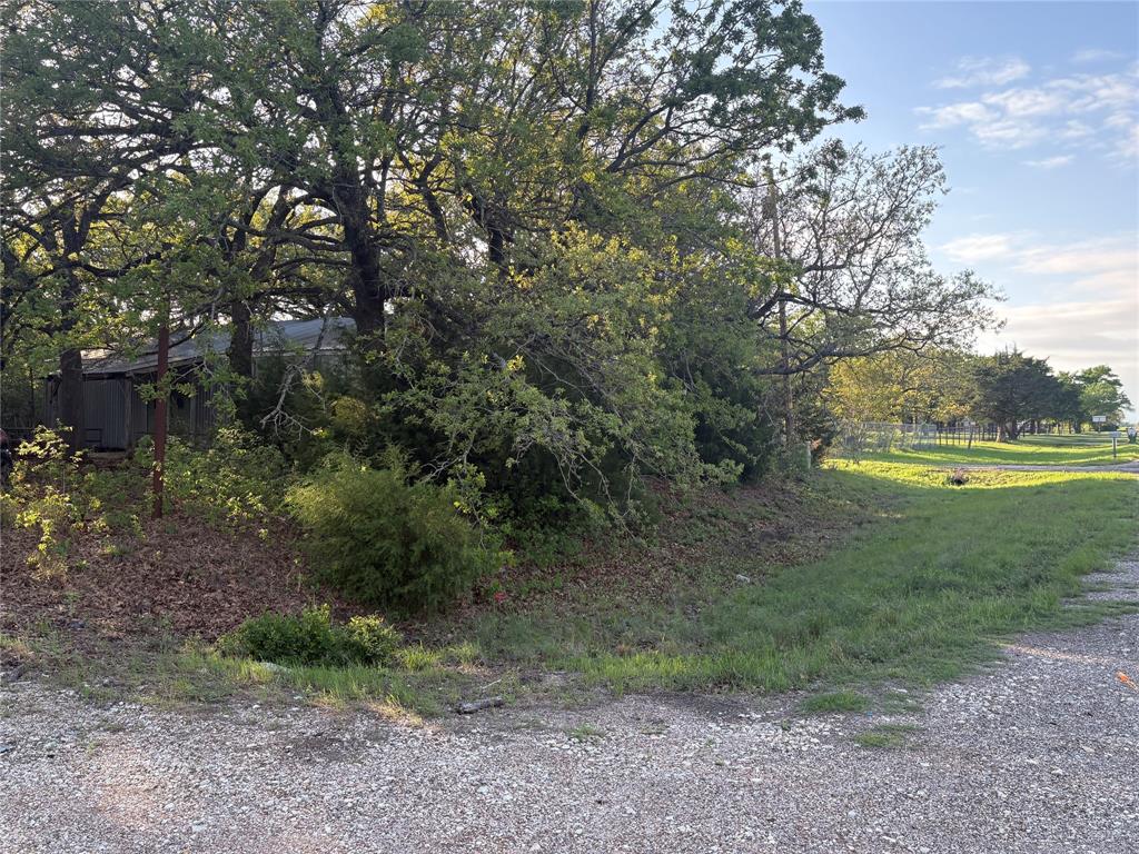 Tbd Hwy 84 Highway Property Photo 16