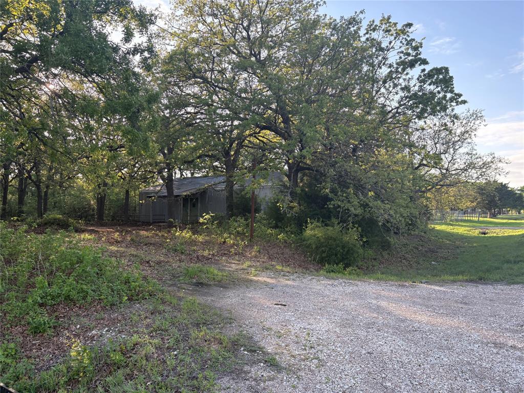 Tbd Hwy 84 Highway Property Photo 17