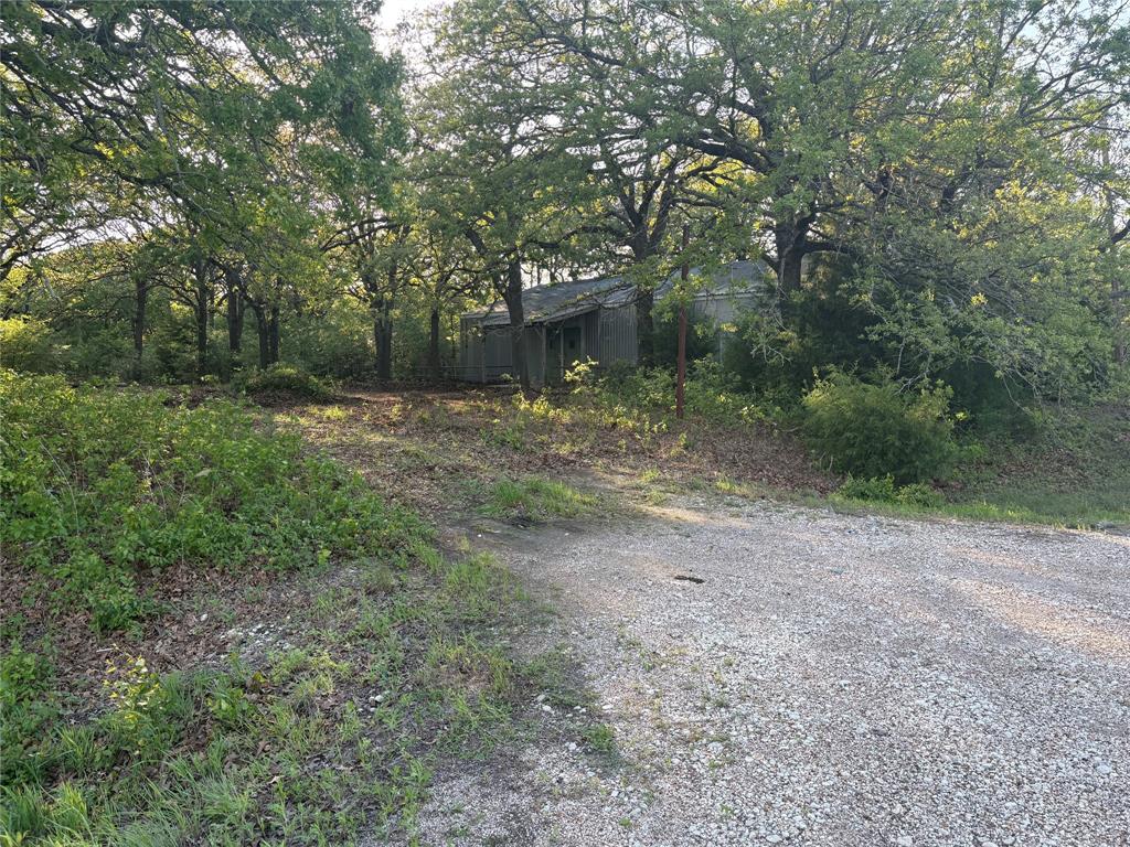 Tbd Hwy 84 Highway Property Photo 18