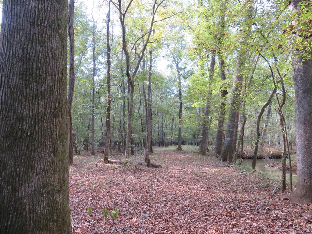 9795 Highway 59 Property Photo